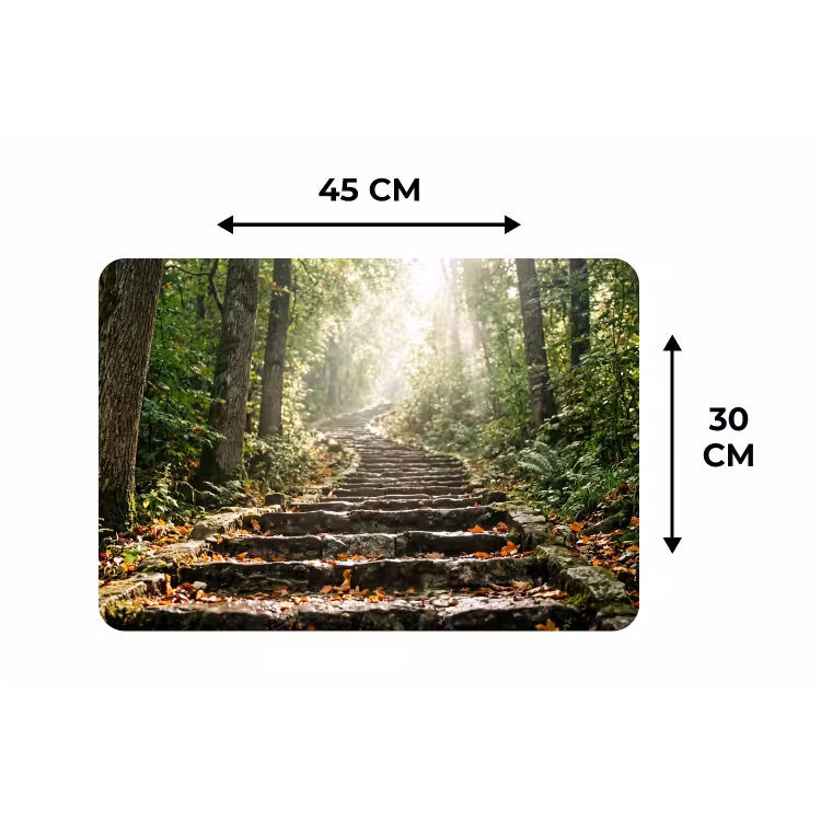 Placemat - 6 stuks - Stenen - Trap - Bos - Natuur — 3