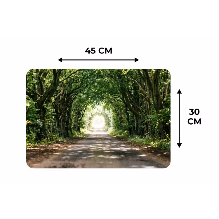 Placemat - 6 stuks - Weg - Bomen - Natuur - Groen — 3