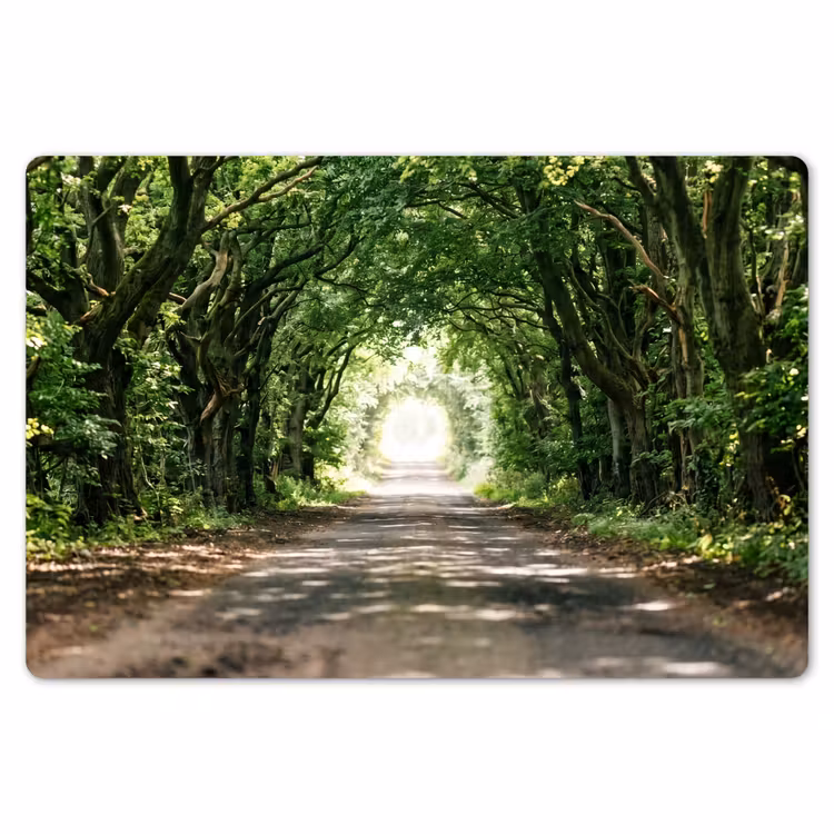 Placemat - 6 stuks - Weg - Bomen - Natuur - Groen — 7