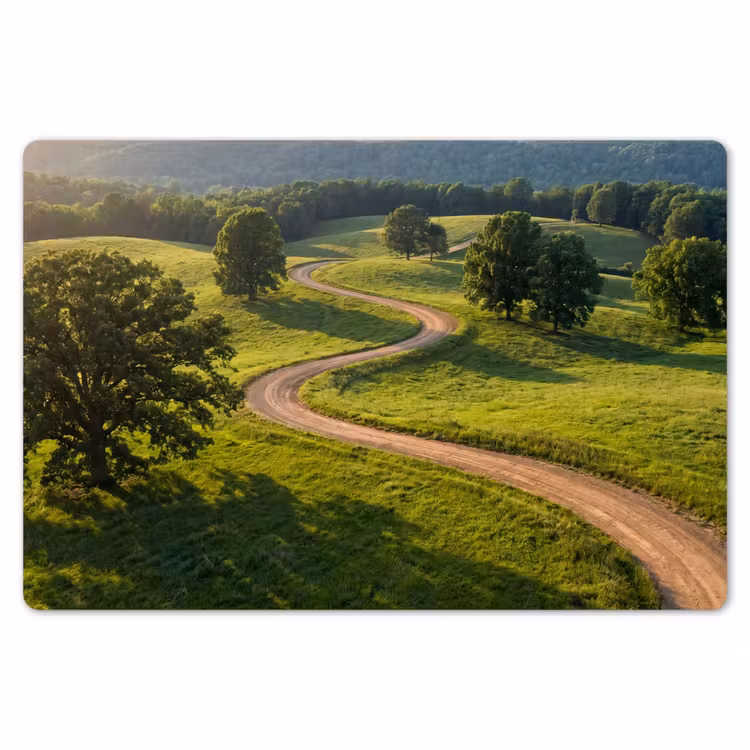 Placemat - 6 stuks - Weg - Weide - Natuur - Groen — 7