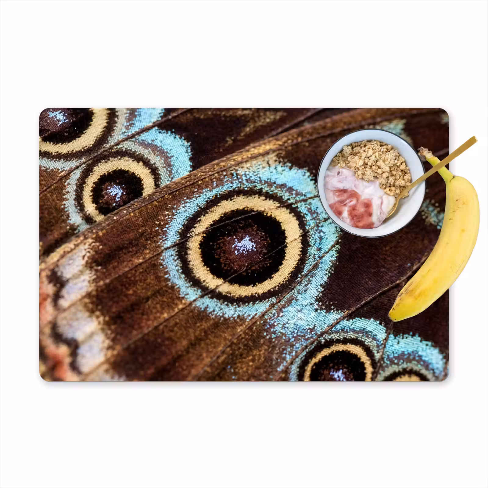 Placemat - 6 stuks - Vleugels - Vlinder - Blauw — 1