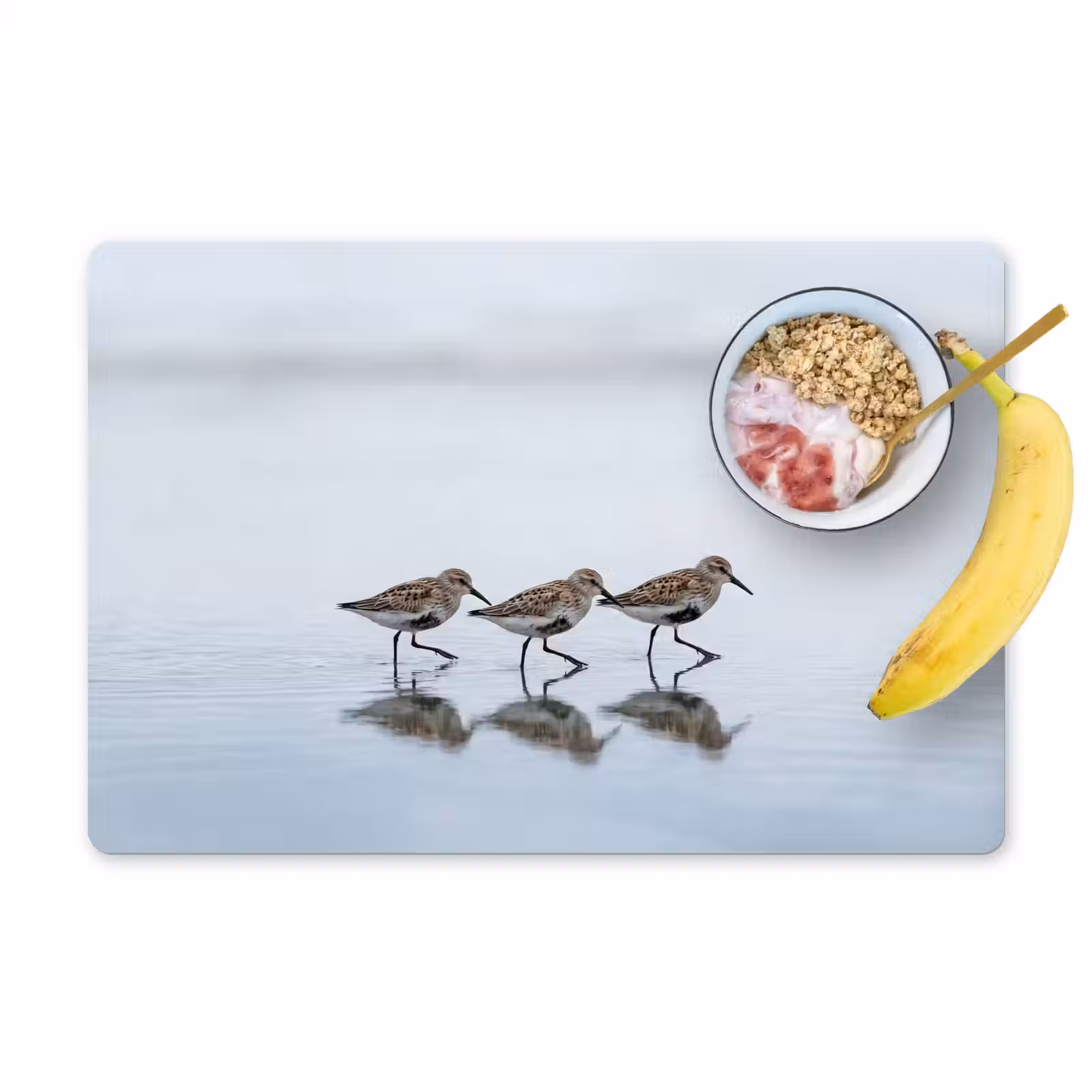 Placemat - 6 stuks - Vogels - Water - Grijs — 1