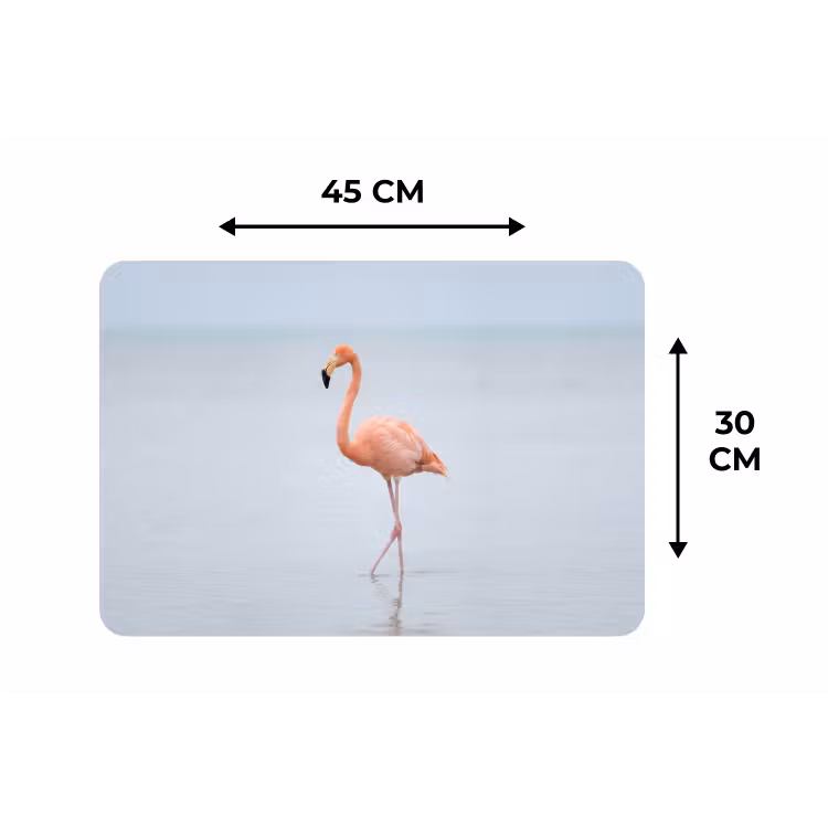 Placemat - 6 stuks - Flamingo - Zee - Roze — 3