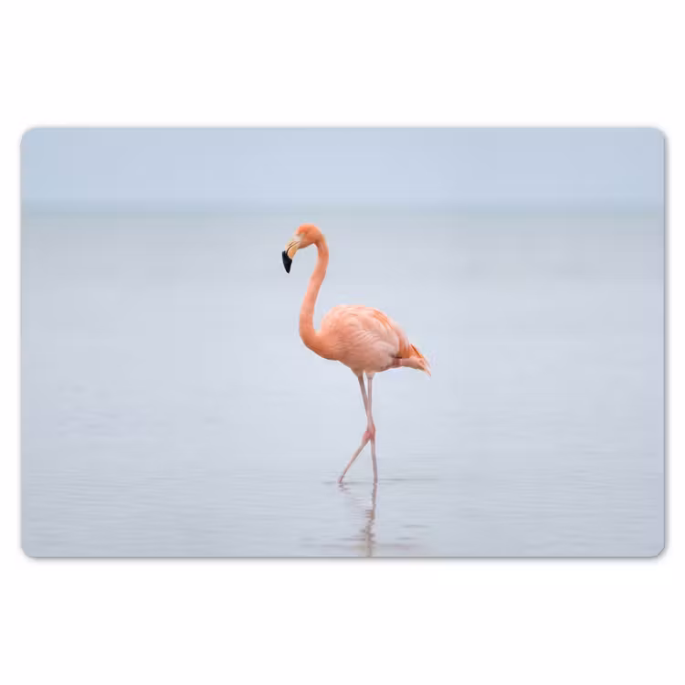 Placemat - 6 stuks - Flamingo - Zee - Roze — 7