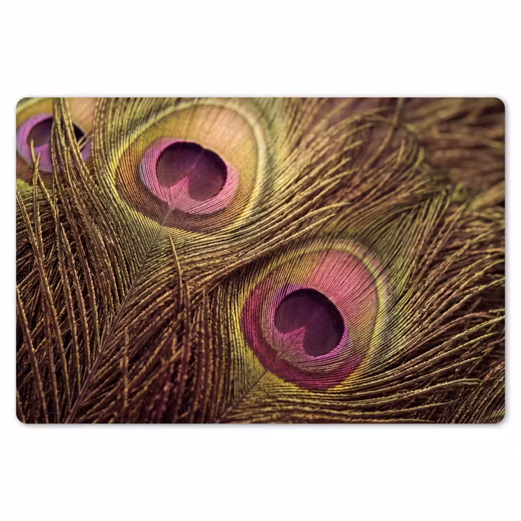 Placemat - 6 stuks - Pauw - Veren - Paars - Groen — 7