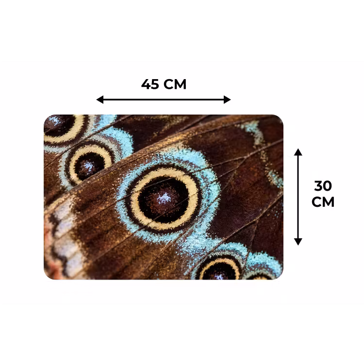 Placemat - 6 stuks - Vleugels - Vlinder - Blauw — 3