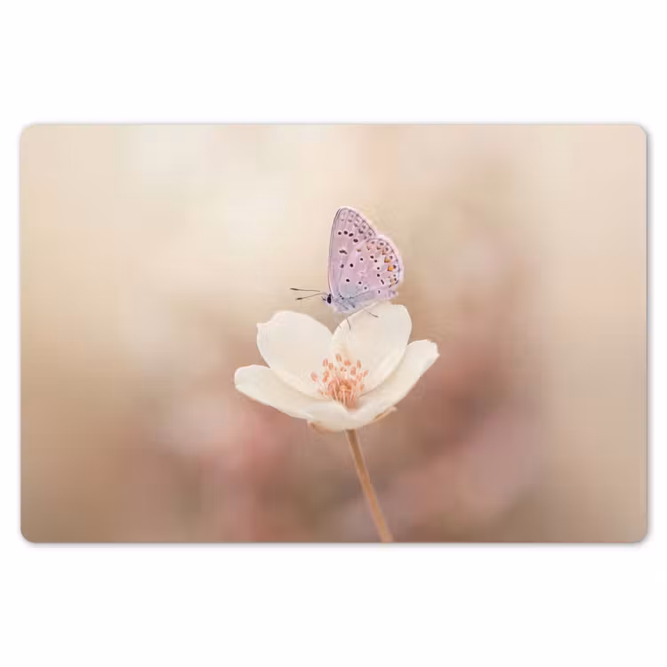 Placemat - 6 stuks - Vlinder - Bloem - Blauw — 7