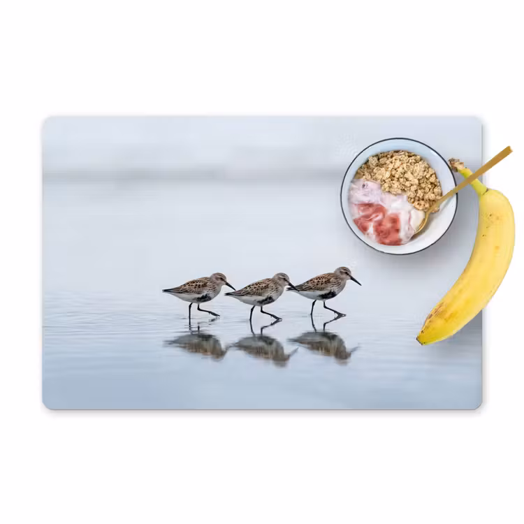 Placemat - 6 stuks - Vogels - Water - Grijs — 1