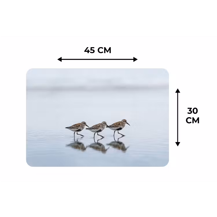 Placemat - 6 stuks - Vogels - Water - Grijs — 3