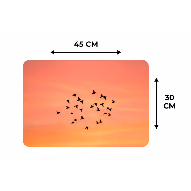 Placemat - 6 stuks - Zwerm - Vogels - Oranje — 3