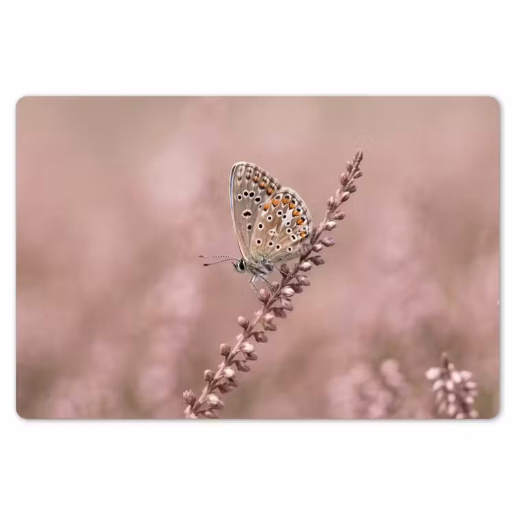 Placemat - 6 stuks - Lavendel - Vlinder - Paars — 7