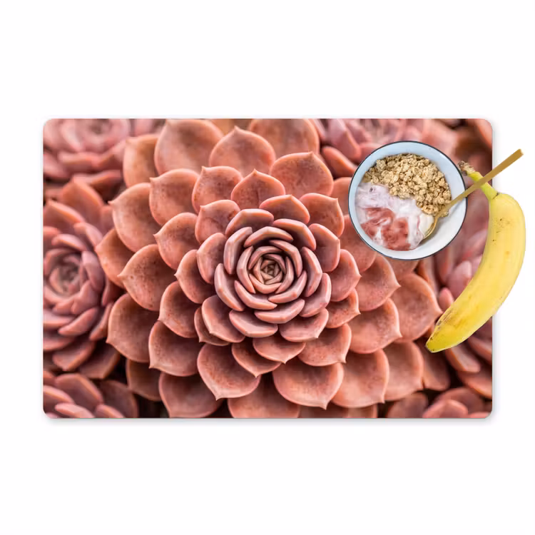 Placemat - 6 stuks - Vetplant - Organisch - Roze — 1