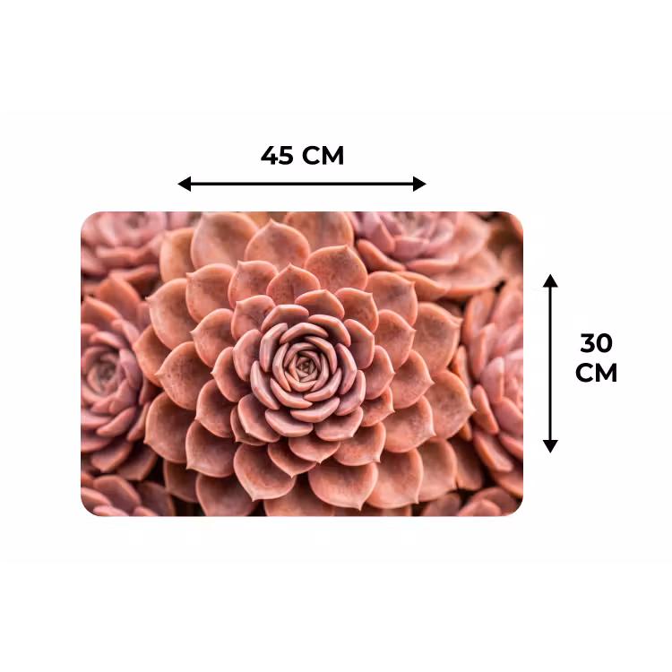 Placemat - 6 stuks - Vetplant - Organisch - Roze — 3