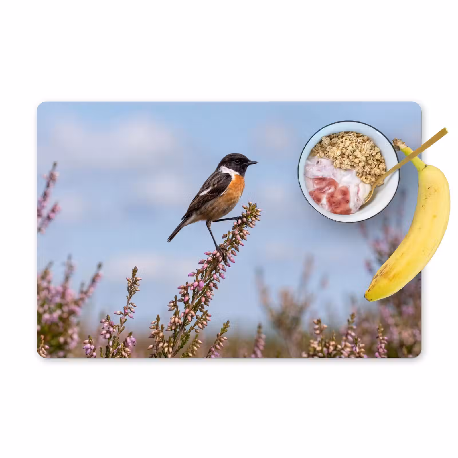 Placemat - 6 stuks - Roodborsttapuit - Heide - Paars - Natuur - Sfeervol — 1