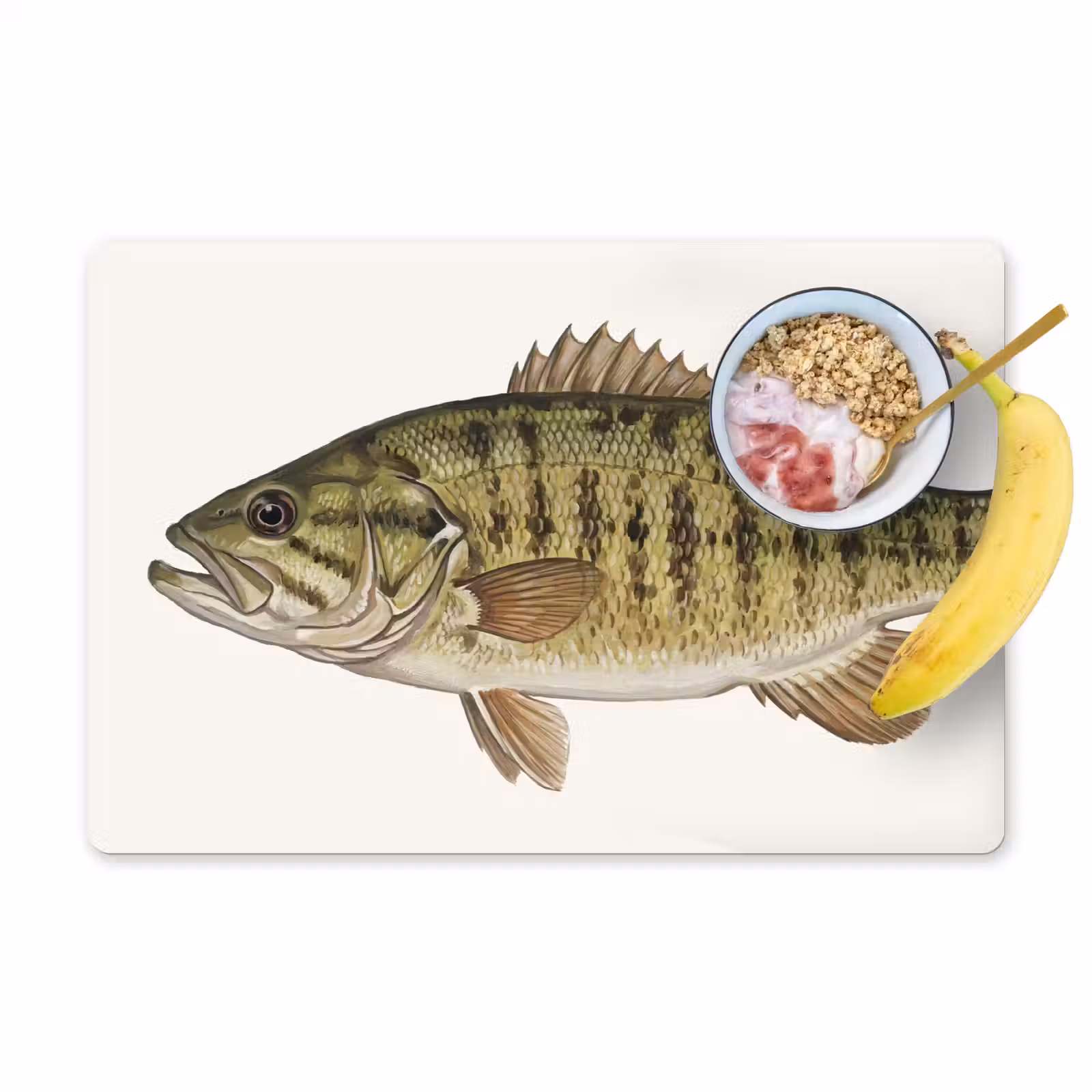 Placemat - 6 stuks - Vissen - Natuur - Vintage — 1