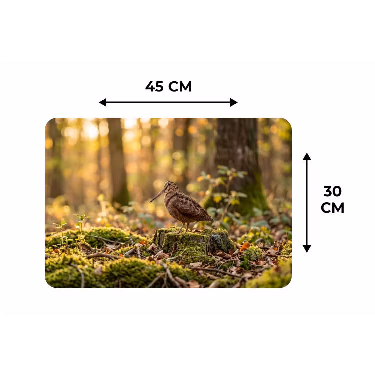 Placemat - 6 stuks - Houtsnip - Bos - Bladeren - Herfst - Gecamoufleerd — 3