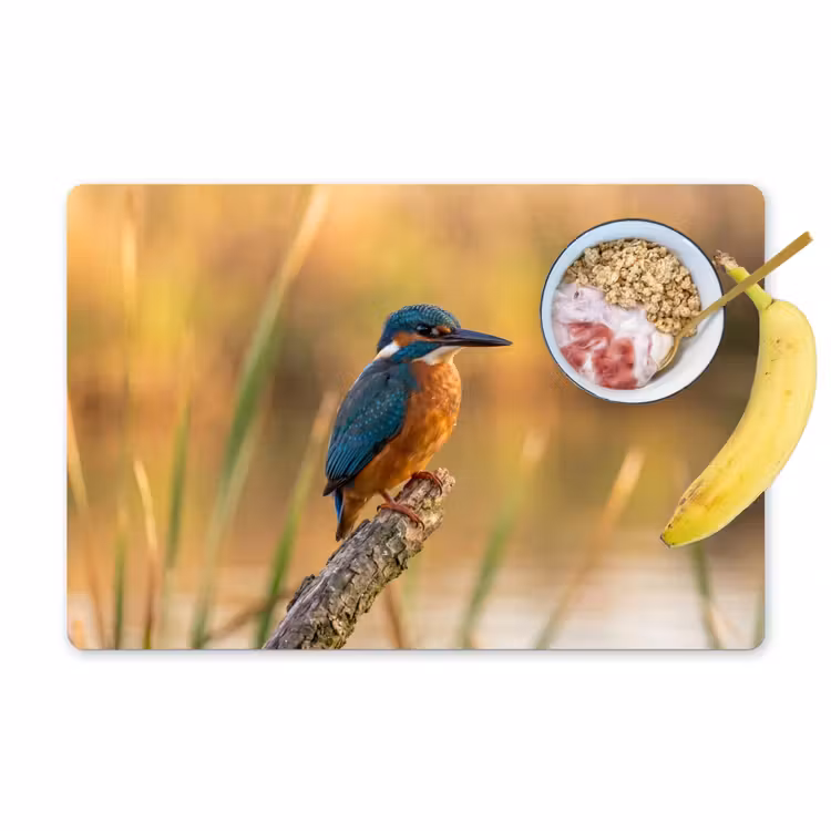 Placemat - 6 stuks - IJsvogel - Tak - Water - Kleurrijk - Levendig — 1
