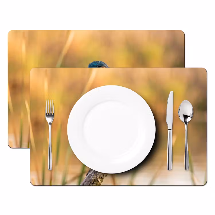 Placemat - 6 stuks - IJsvogel - Tak - Water - Kleurrijk - Levendig — 2