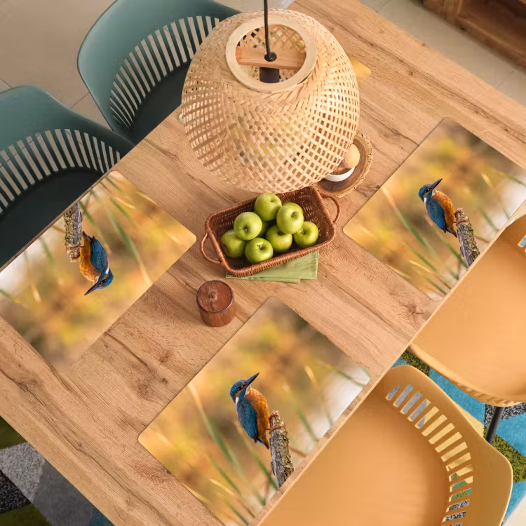 Placemat - 6 stuks - IJsvogel - Tak - Water - Kleurrijk - Levendig — 6