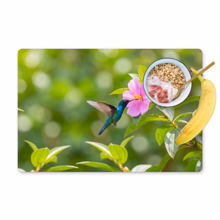 Placemat - 6 stuks - Kolibrie - Bloem - Natuur - Groen — 1