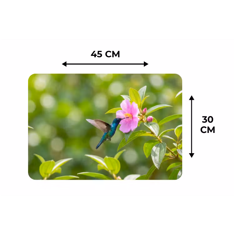 Placemat - 6 stuks - Kolibrie - Bloem - Natuur - Groen — 3