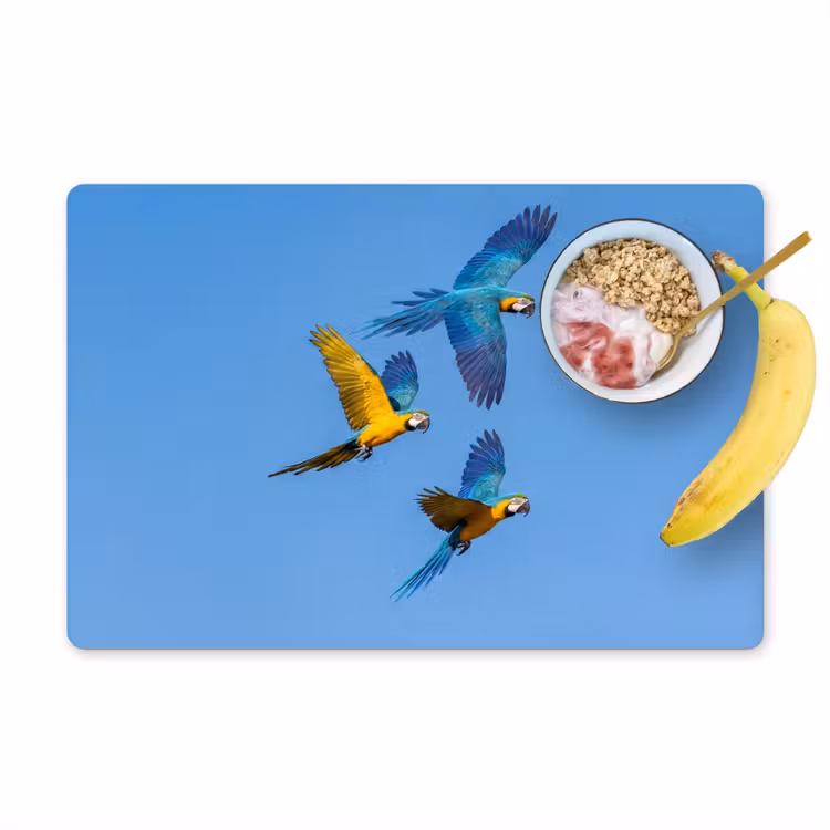 Placemat - 6 stuks - Papagaai - Vliegen - Blauw - Geel — 1