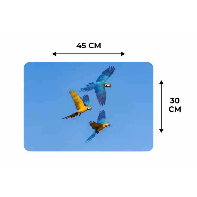 Placemat - 6 stuks - Papagaai - Vliegen - Blauw - Geel — 3