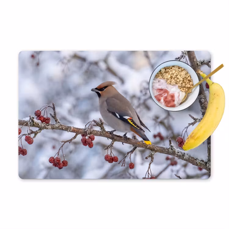 Placemat - 6 stuks - Pestvogel - Bessen - Winter - Natuur — 1