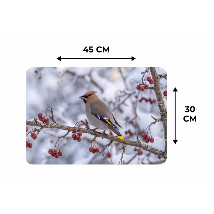 Placemat - 6 stuks - Pestvogel - Bessen - Winter - Natuur — 3