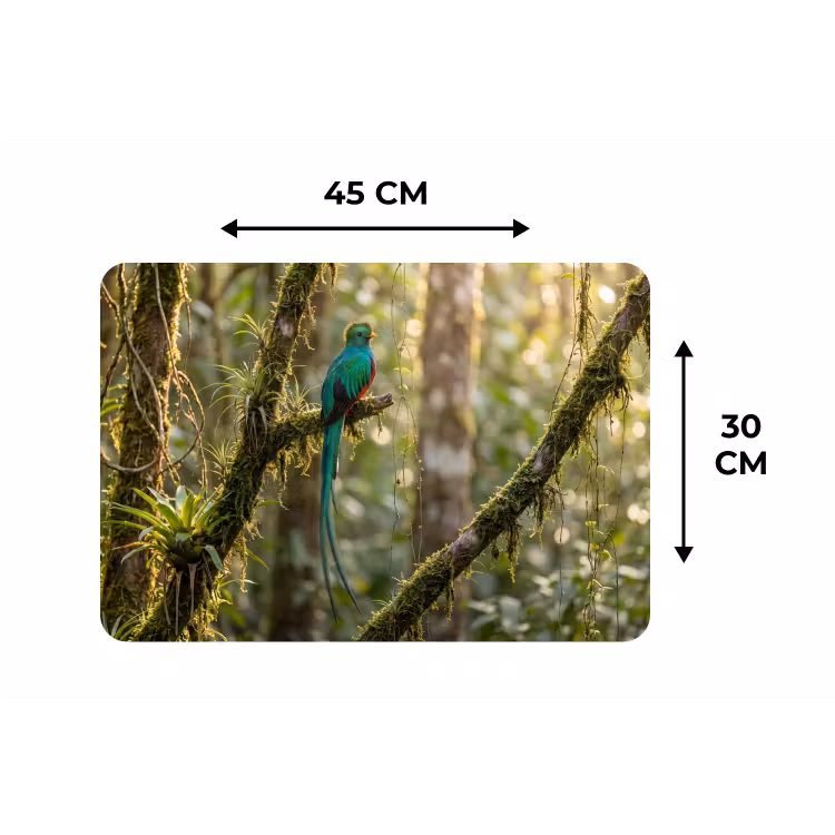 Placemat - 6 stuks - Quetzal - Jungle - Natuur - Groen — 3