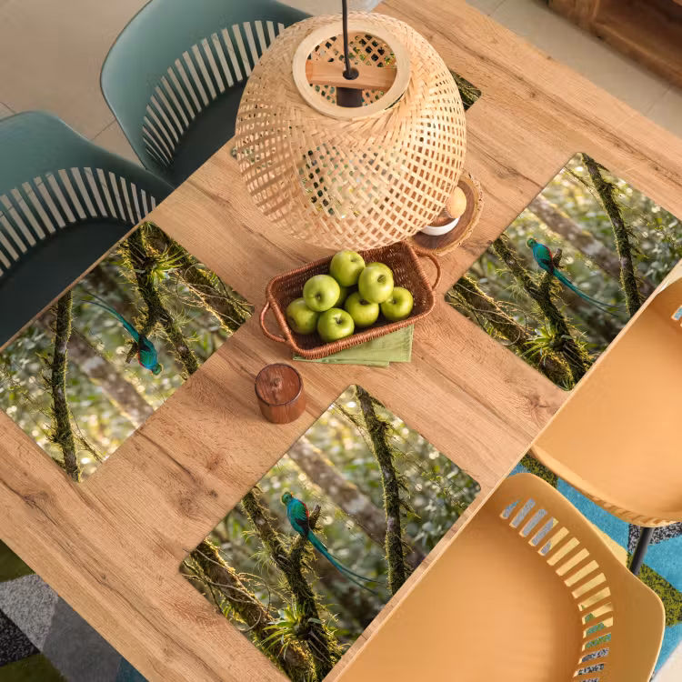 Placemat - 6 stuks - Quetzal - Jungle - Natuur - Groen — 6