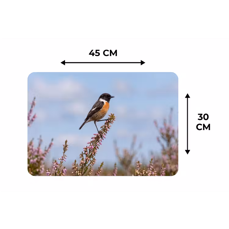 Placemat - 6 stuks - Roodborsttapuit - Heide - Paars - Natuur - Sfeervol — 3