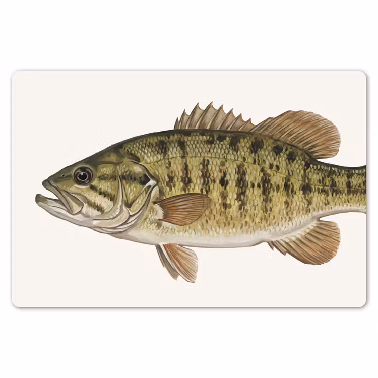 Placemat - 6 stuks - Vissen - Natuur - Vintage — 7