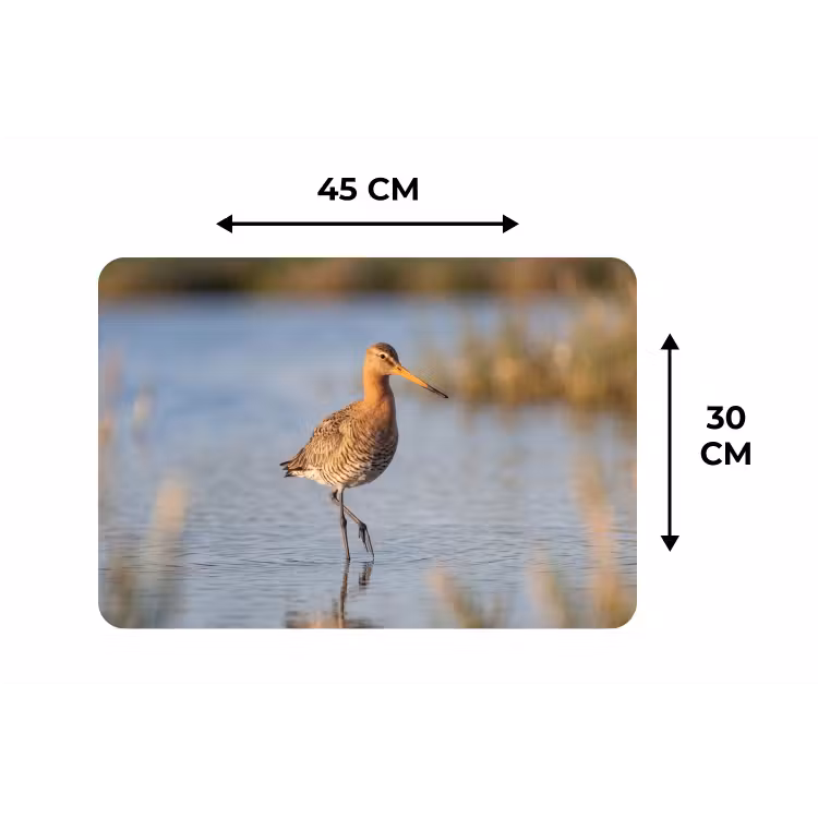 Placemat - 6 stuks - Vogel - Steltloper - Water - Natuur — 3
