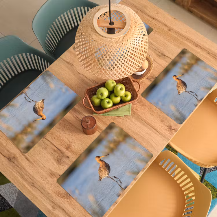 Placemat - 6 stuks - Vogel - Steltloper - Water - Natuur — 6
