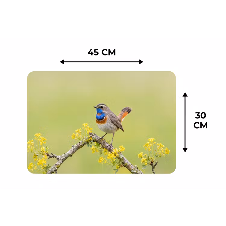 Placemat - 6 stuks - Vogel - Tak - Natuur - Kleurrijk — 3