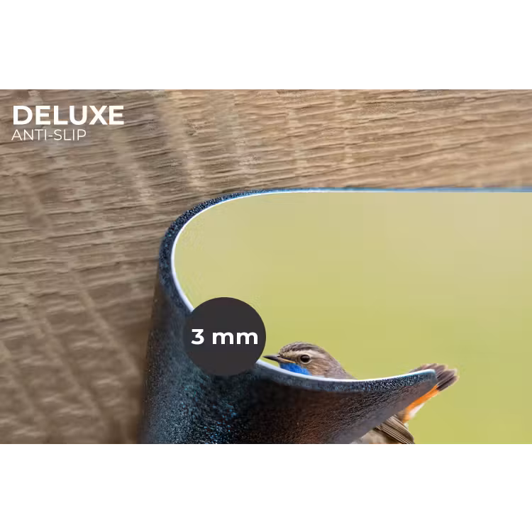 Placemat - 6 stuks - Vogel - Tak - Natuur - Kleurrijk — 4