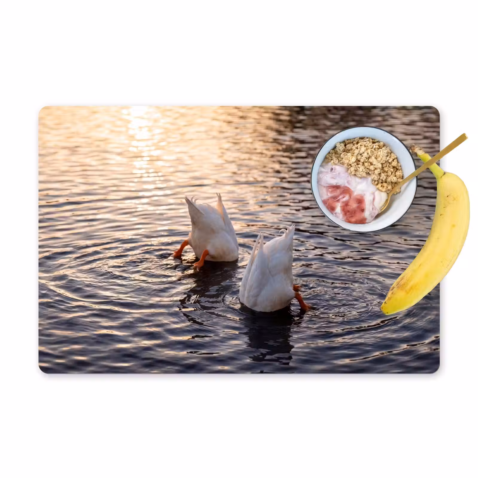 Placemat - 6 stuks - Eenden - Water - Natuur — 1