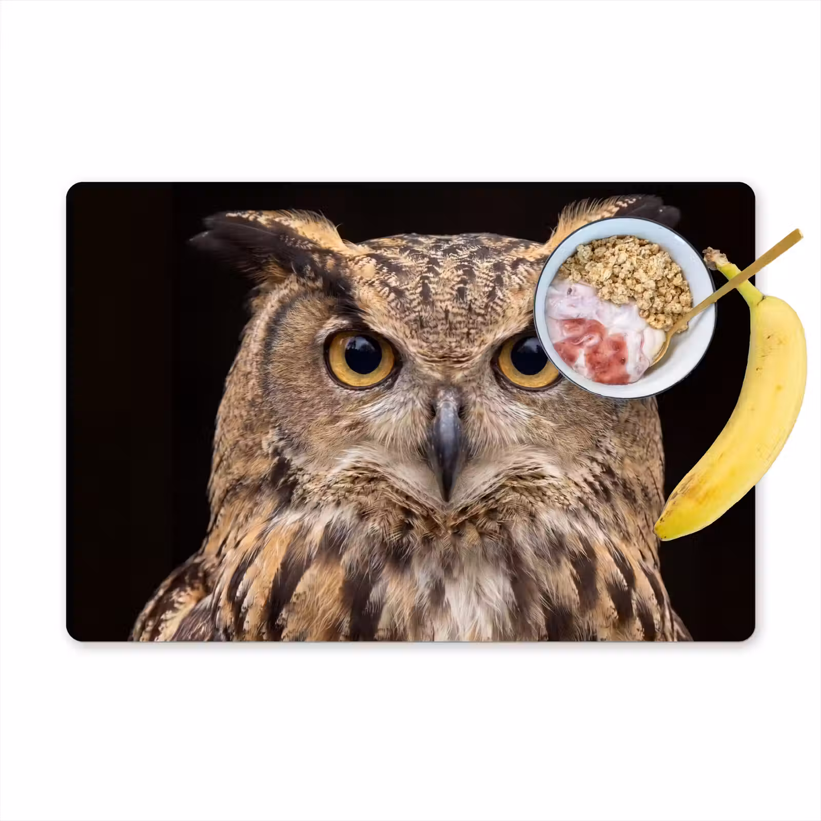 Placemat - 6 stuks - Oehoe - Uil - Portret - Bruin — 1