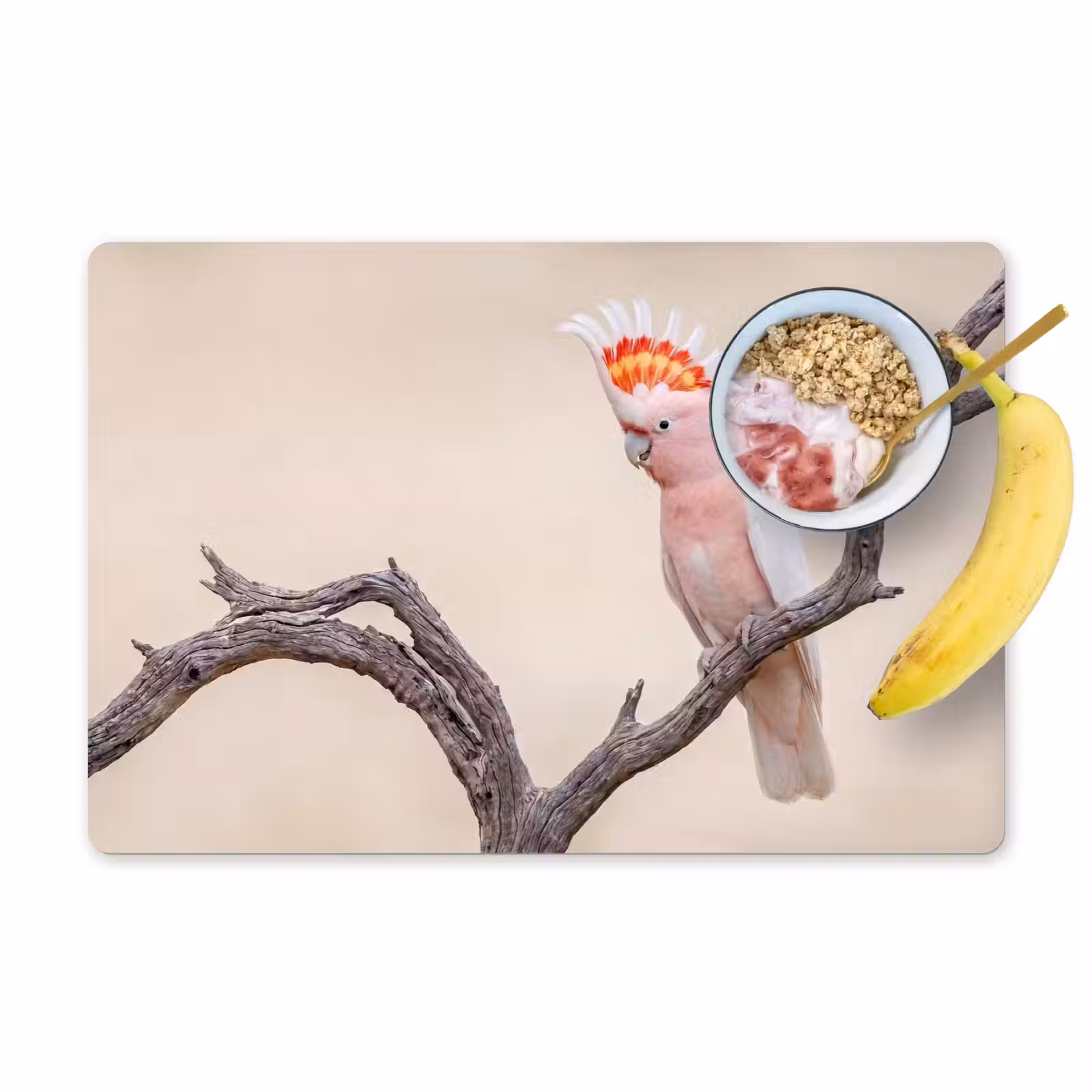 Placemat - 6 stuks - Papagaai - Tak - Roze — 1