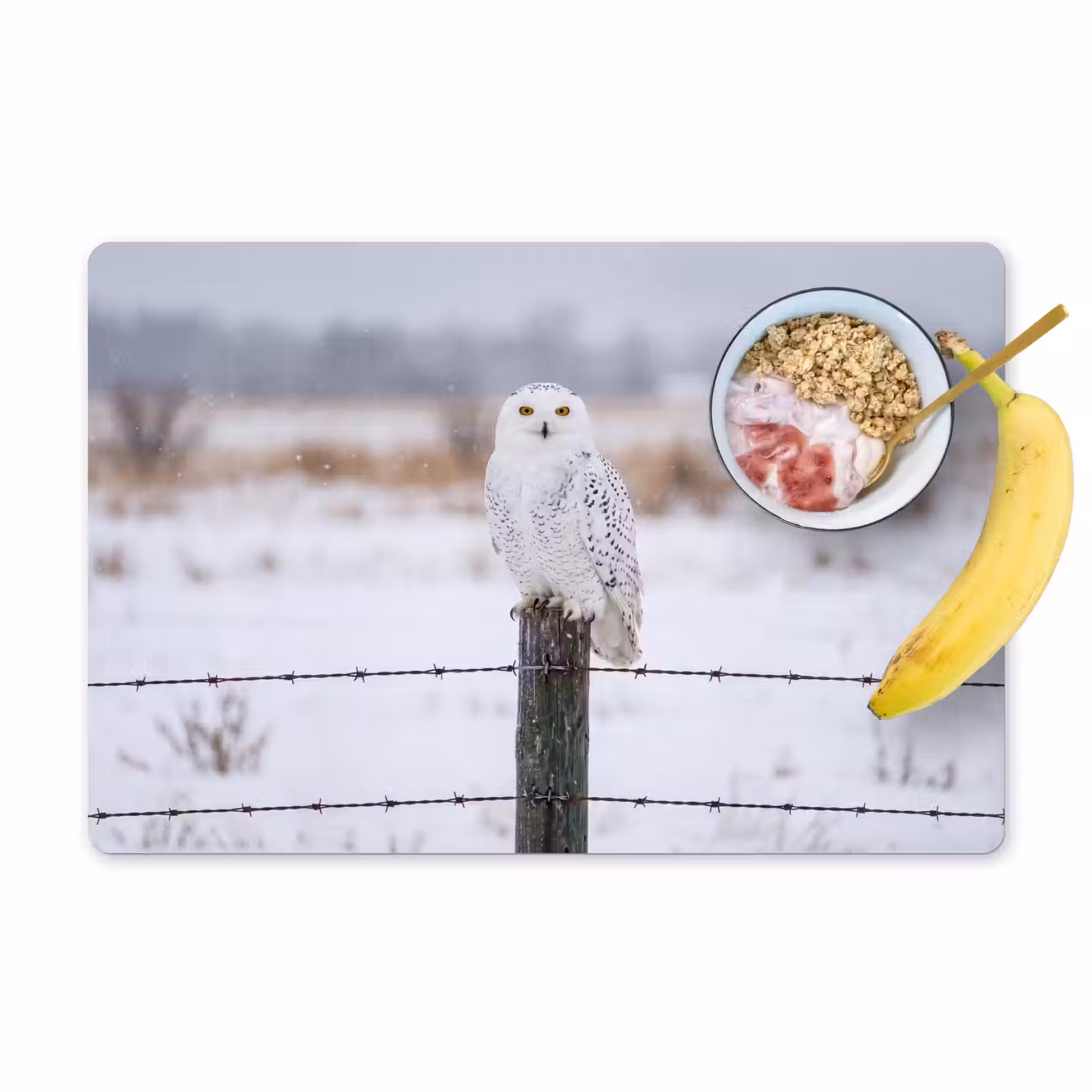 Placemat - 6 stuks - Sneeuwuil - Hek - Sneeuw - Wit — 1