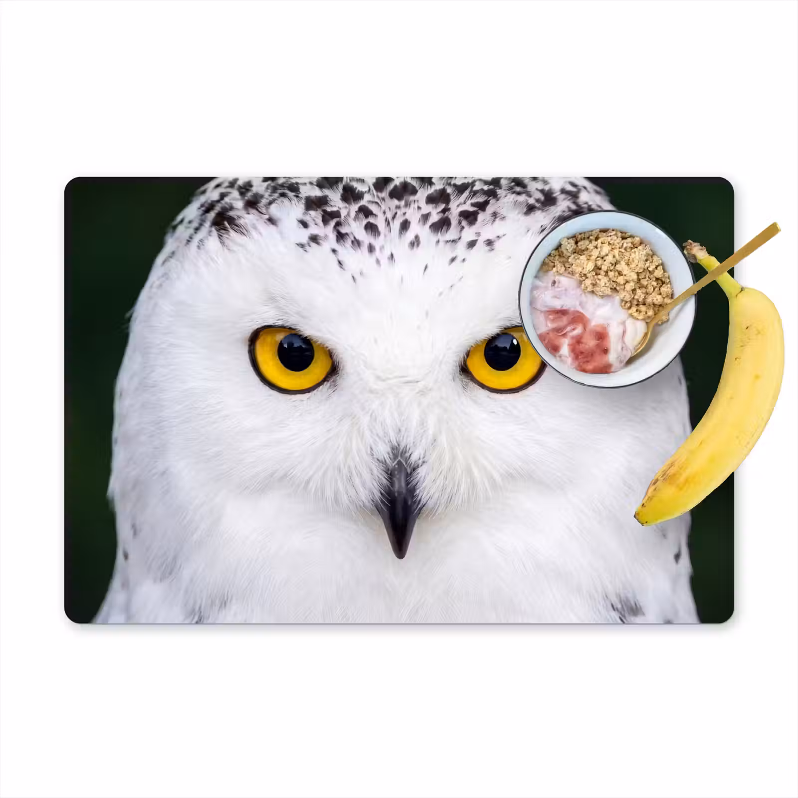 Placemat - 6 stuks - Sneeuwuil - Portret - Geel — 1