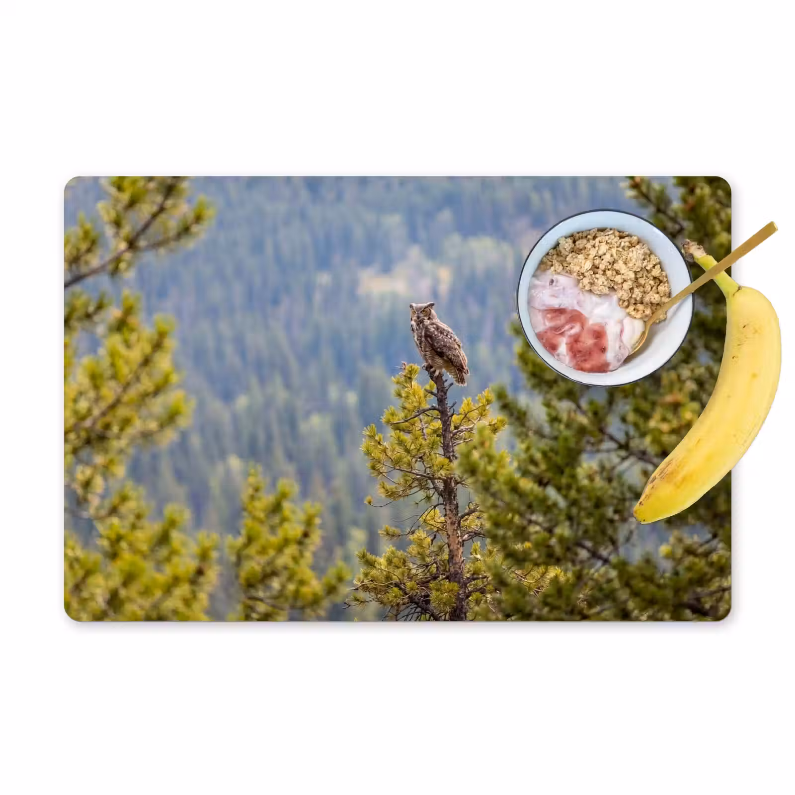 Placemat - 6 stuks - Uil - Oehoe - Bomen - Natuur — 1