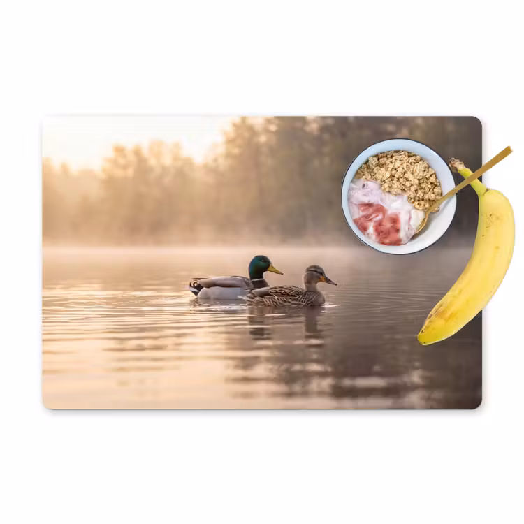 Placemat - 6 stuks - Eenden - Water - Mist - Natuur — 1