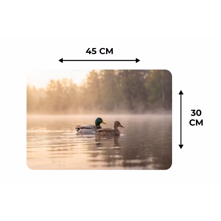 Placemat - 6 stuks - Eenden - Water - Mist - Natuur — 3