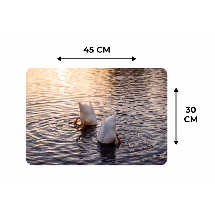 Placemat - 6 stuks - Eenden - Water - Natuur — 3