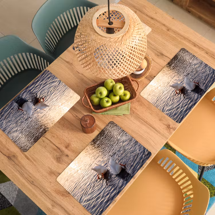 Placemat - 6 stuks - Eenden - Water - Natuur — 6