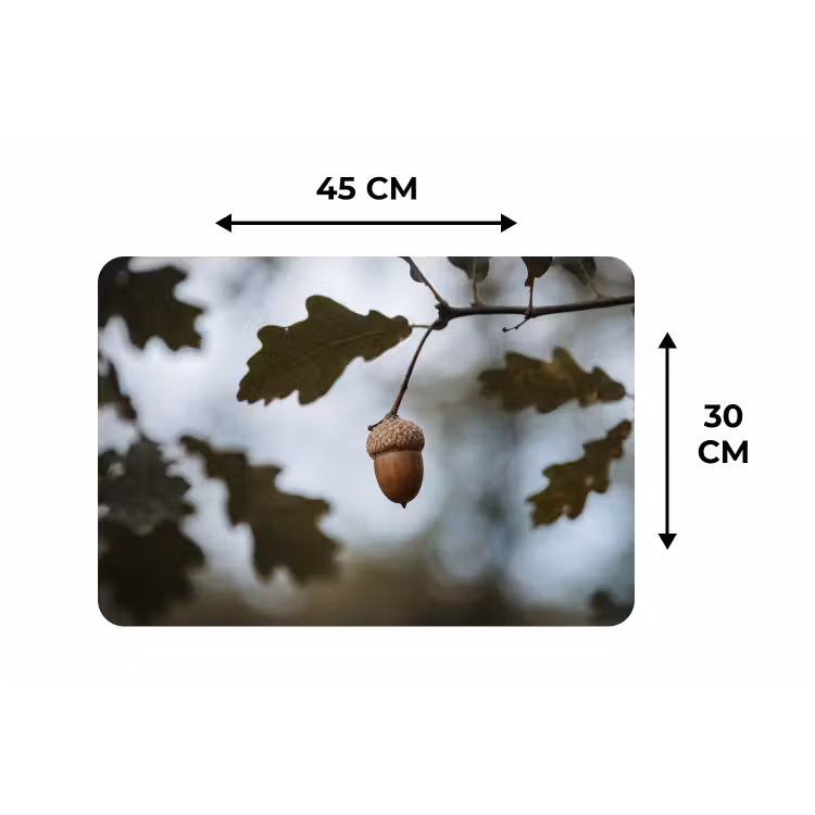 Placemat - 6 stuks - Eikel - Eikenblad - Bos - Herfst - Natuur — 3