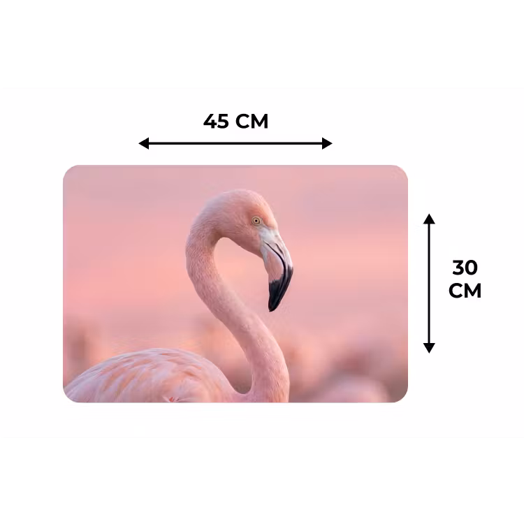 Placemat - 6 stuks - Flamingo - Portret - Roze — 3