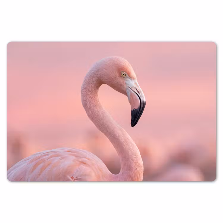 Placemat - 6 stuks - Flamingo - Portret - Roze — 7